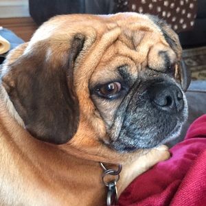 Meet your Posher, Tammy